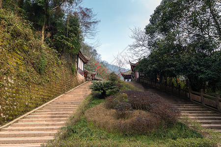 在公园前的楼梯上石头森林叶子木头绿色树叶花园小路脚步生长背景图片