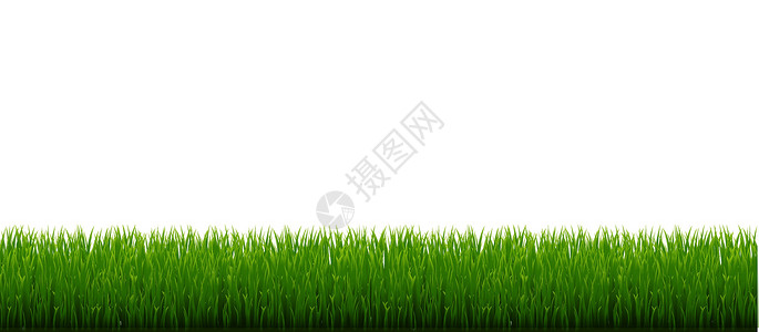 绿草边框和白色背景插图边界花园植物场地花朵横幅生态叶子全景背景图片