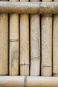 Korakuen公园的竹布庙生命画幅植物群特写植物自然世界栅栏视图竹子乐园背景图片
