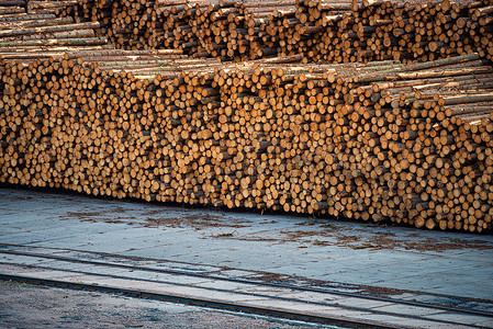 准备装运的木木木木堆材料燃料乡村木材日志森林木头活力柴堆硬木背景图片