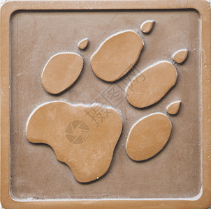 雕刻狮子足迹哺乳动物动物脚印猫科动物生物学生命科学大猫特写视图野生动物背景图片