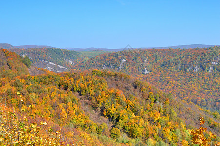秋季陆地天空公园全景山脉森林季节植物群环境阳光背景图片