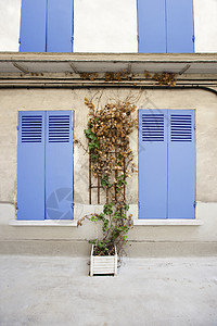 巴黎大厦的摄影室外拍摄建筑框架花朵紫色窗户建筑学房子大门村庄百叶窗背景图片