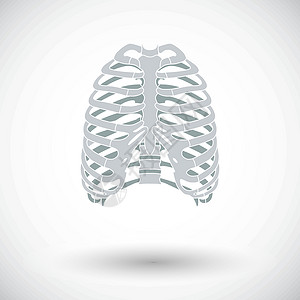 胸部图标人类胸腔的图标身体卫生解剖学生活骨骼插图胸部胸骨科学疼痛设计图片