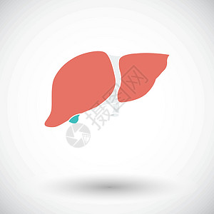 补脾肝脏图标器官药品身体肝硬化医疗艺术卡通片卫生保健解剖学设计图片