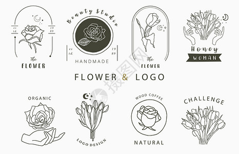 一叶子字素材以玫瑰 图利普 叶子和插图的方式收集花花徽标设计图片