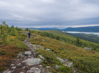 瑞典拉普兰的萨雷克Sarek在Kungsleden长途跋涉 充满山脉 河流和湖泊 小树林和草木林 初秋颜色 蓝天白云森林云杉旅行背景图片