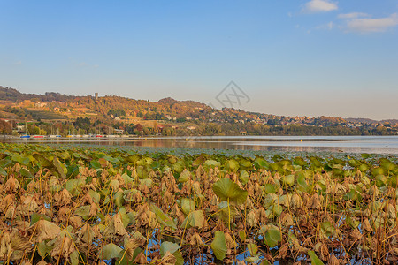 秋季期间意大利维韦罗内湖的景象高清图片