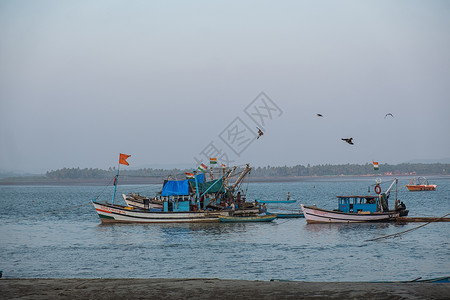 GOA的Chapora鱼市场钓鱼销售空间加载摄影商业水平港口渔夫捕获背景图片