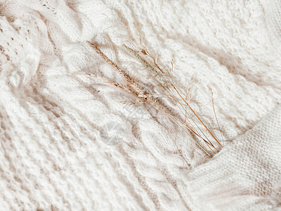 白毛衣带干草 秋天概念平坦乡村白色开襟衫服装静物植物衣服装饰品温暖背景