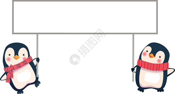 两只企鹅拿着横旗卡通片动物小样横幅空白白色背景图片