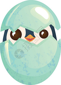 巴布亚企鹅幼崽鸡蛋里的小鸡企鹅幼崽蓝色幼儿雏鸟插图蛋壳孵化母鸡插画