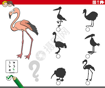 火烈鸟卡通带有卡通火烈鸟动物字符的阴影任务设计图片