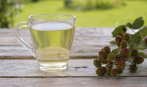 草叶与浆果Dewberry 草叶背景