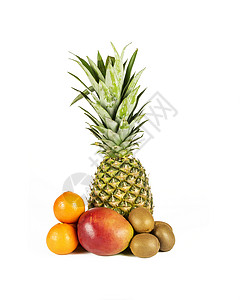 不同热带水果在白色背景上的不同热带水果类背景图片