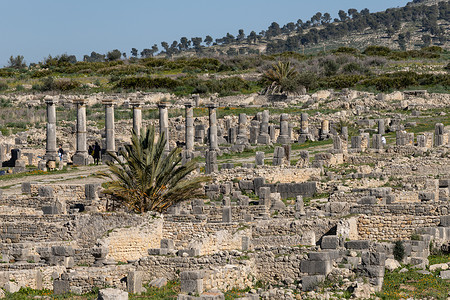 帝国城Volubilis是摩洛哥Meknes市附近一个部分挖掘的柏柏尔城王国考古学柱子考古废墟寺庙石头帝国首都纪念碑背景