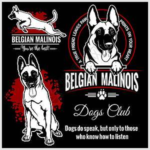 玛利诺犬 比利时玛利诺犬 比利时牧羊犬-用于 T 恤 徽标和模板徽章的矢量集插画