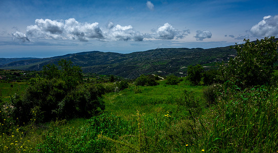 塞浦路斯岛土地雨林高清图片