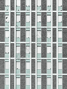 城市建筑外表街道鸟类景观灰色窗户公寓工业框架建筑学建筑物背景图片