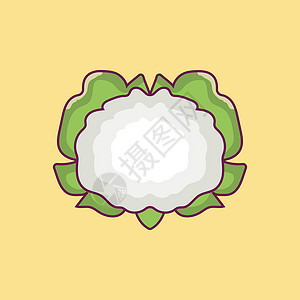 海底椰汤开花椰花素食者农业蔬菜白色标识绿色艺术植物产品食物插画