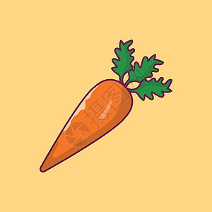 蔬菜饮食农业橙子植物食物叶子花园插图素食主义者绿色背景图片