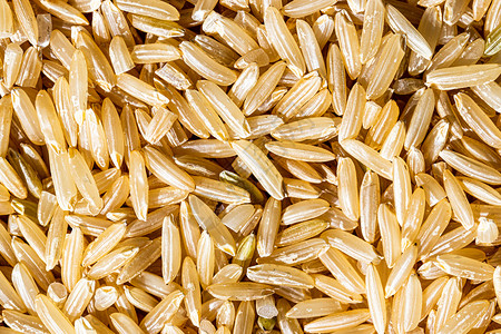 棕色野稻种本底或质地 无食用和健康食品饮食谷物栽培荒野野米营养食物种子糖类植物背景图片