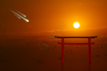 日落和三米特罗坠落 鸟飞翔背景图片
