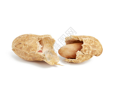 贝壳花生碎成两半 食物孤立在白腹骨上核心种子营养养分豆类工作室棕色坚果小吃健康背景图片