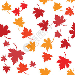 加拿大秋天它制作图案枫叶矢量插图国家橙子树叶艺术横幅红色季节白色旗帜插画