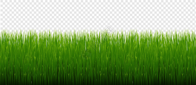 绿草边框和透明背景水平框架草原绿色臭氧生长健康环境农场边界背景图片