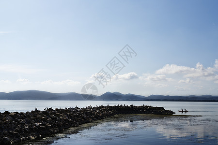 特拉西梅诺湖边的海鸥和独木舟背景