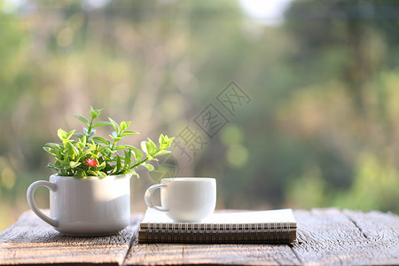 螺旋笔记本和白咖啡杯 在木制桌上用小杯子锅装植物高清图片