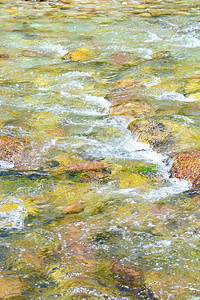 背景水果山脉水石视频几何植物效果河石计算机石头背景图片