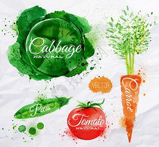 水彩手绘蔬菜蔬菜 水彩卷心菜 胡萝卜 番茄设计图片