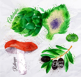 朝鲜黑金龟子蔬菜 水 花椰菜设计图片