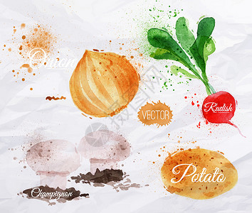 水彩大蒜蔬菜 水彩萝卜 洋葱 土豆设计图片