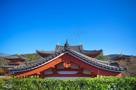 比贝洛有名的凤凰堂 或比奥多因寺庙的胡洛厅文化历史建筑学蓝色场景神社地方花园天空旅游背景