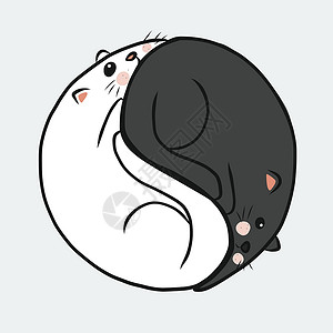 Yin Yang 黑白猫卡通矢量插图高清图片