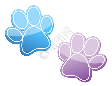 狗掌爪掌打猎印刷脚趾痕迹地面小狗老虎双胞胎小猫紫色背景