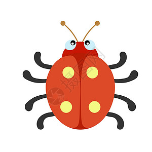 简单平板彩色甲虫环浅图画背景图片