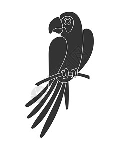 树枝上一只鹦鹉鸟的轮廓背影羽毛剪贴簿插图动物荒野库存手绘栖息地草图概念背景图片