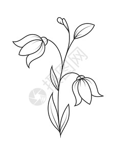 书中发芽花瓣花朵的空大纲 Doodle 风格大纲是插图库存概念手绘叶子变体生态草图空白植物插画