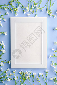照片框蓝色白空照片框 用鼠梨鸡毛花模拟邀请函婚礼镜框蓝色花朵问候语问候繁缕老鼠耳朵背景
