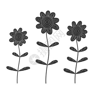鲜花的矢量插图 孤立在 京都议定书变体植物植物学绘画草图植物群叶子剪贴簿库存花序设计图片