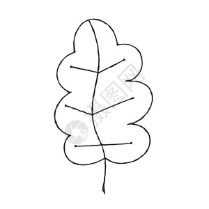 矢量亲手绘制植物叶的插图 面条风格空白概念涂鸦绘画手绘变体植物学草图库存艺术背景图片