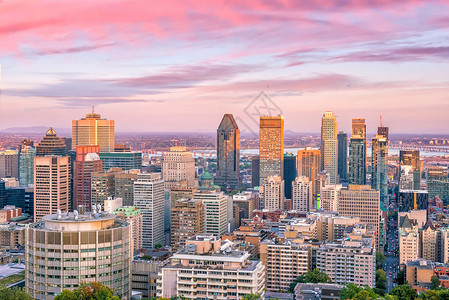 皇家肝脏大楼从加拿大日落时的顶端观点看蒙特利尔办公室地标树叶天线日出建筑摩天大楼旅行蓝色全景背景