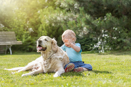 小男孩和狗小男孩在和一只坐在花园里的狗玩耍背景
