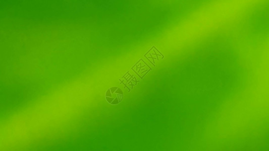 a 绿色自然背景创造力艺术摄影坡度流动插图阳光晴天曲线叶子背景图片