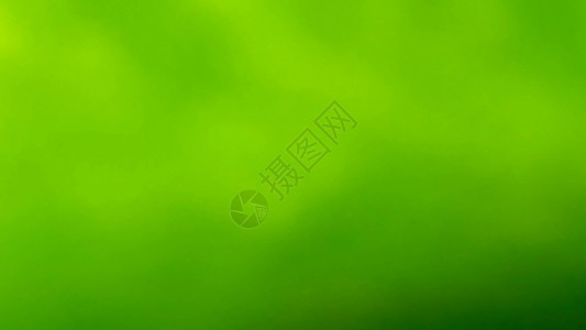 a 绿色自然背景叶子坡度流动创造力曲线摄影宽屏海浪墙纸艺术背景图片