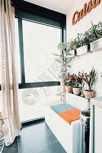 蓝绿色窗帘摆台现代和美丽的厨房角落 有明亮的窗口背景
